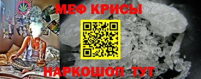 шишки Кингисепп
