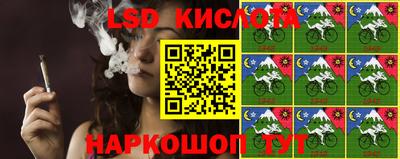 шишки Кингисепп