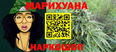 шишки Кингисепп
