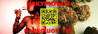 шишки Кингисепп