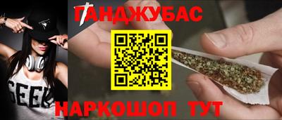 шишки Кингисепп
