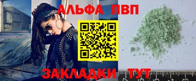шишки Кингисепп