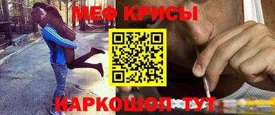 шишки Кингисепп
