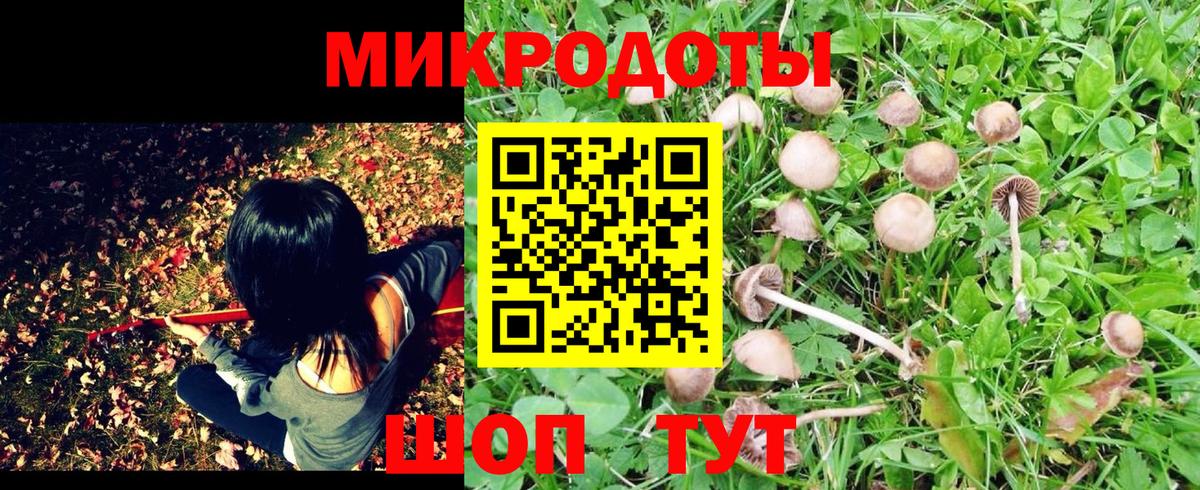Псилоцибиновые грибы Cubensis Комсомольск-на-Амуре