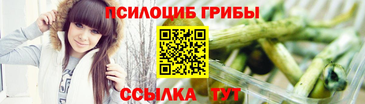 Комсомольск-на-Амуре  Галлюциногенные грибы Psilocybe  Вход с VPN 